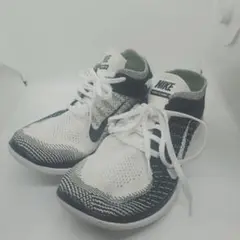 Item thumbnail for item 3bdde73b-e565-4040-ac4a-b5387301e71e