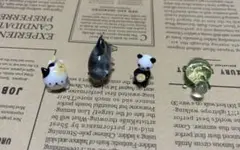 Item thumbnail for item c125185c-ec42-485f-a7f1-2d205cb495bb