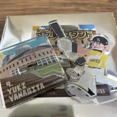 柳田 アクリルスタンド