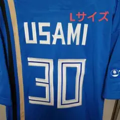 宇佐見☆日本ハムファイターズ☆ビジター☆レプリカユニフォーム