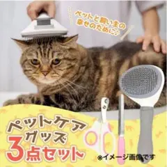 Item thumbnail for item f53a0e91-599a-4e2e-9106-32e0d4bcb1a4