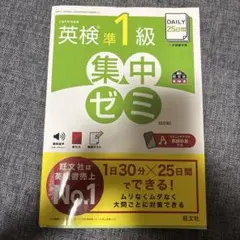 DAILY25日間英検準1級集中ゼミ : 文部科学省後援