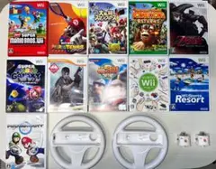 Wiiソフト11本まとめ売り(付属品あり)