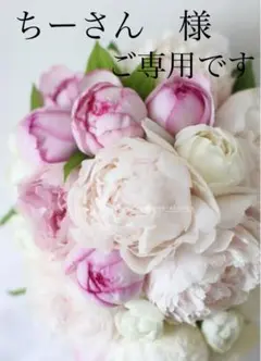 ちーさん様 ご専用でございます