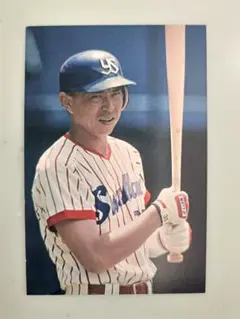 東京ヤクルトスワローズ 創立55周年記念カード 小川淳司