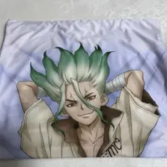 Dr.STONE 枕カバー 石神千空 獅子王司 Dr.STONE 枕カバー 石神千空 獅子王司 - メルカリ