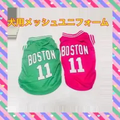 Item thumbnail for item 46e4e2e5-1fbe-4e0a-8690-68c5420986d0