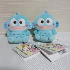 ゆるかわ　サンリオキャラクターズ マスコット　“ハンギョドン”