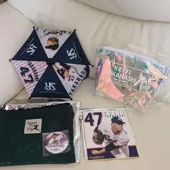 東京ヤクルトスワローズ高橋奎二選手セット
