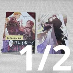 アニメイト特典 この結婚はどうせうまくいかない 1・2