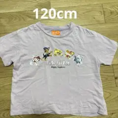 パウパトロールTシャツ120cm