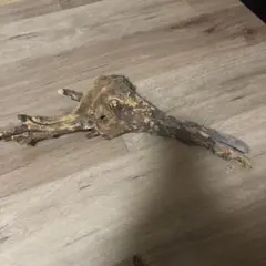 Item thumbnail for item e9cb04ca-99e0-4986-b6a0-cedb21c11217