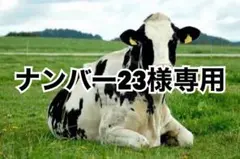 黒芯白3、タン濃5、タン薄2