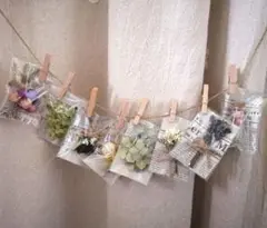 ②　ドライフラワー　ガーランド　花雑貨８点　ラッピング　ナチュラル可愛い