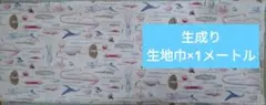リュウグウノツカイ/COTTONこばやし生成りオックス1m/820