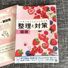 整理と対策 国語 + 解答・解説集　美品