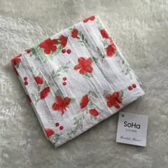 Item thumbnail for item 9f3aa060-6c3b-4c89-a04d-193c7b15da40