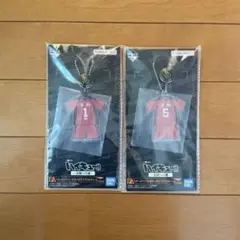 ハイキュー スクールアイコンボタン付きアクリルチャーム 黒尾鉄朗 孤爪研磨