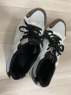 Item thumbnail for item ba19d1c4-e693-4b92-854e-1f3383cf2af7