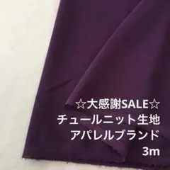 D3L/5743◆3m 感謝祭/ポリエステルチュールニット生地/アパレル