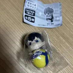 ハイキュー　ミカサ　ガチャ　MiKASA