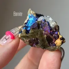 マダラさま♡