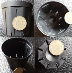 CSM-75 黒 13個 7.5cm 2.5号 スリット鉢