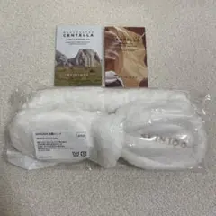 Item thumbnail for item 75db156b-98ff-4648-968d-eeea4d7727b4