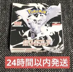 24時間以内発送　ホワイトフレア　20パック