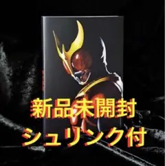 仮面ライダー　クウガ　超クウガ展 公式図録
