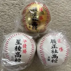第101回　全国高校野球選手権大会　記念ボール　3球セット　履正社　星稜高校