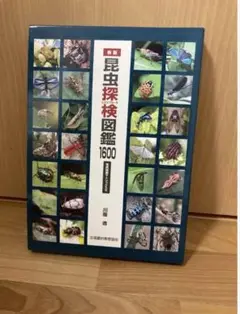 新装版 昆虫探検図鑑 1600