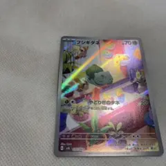 フシギダネ カード