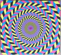 【ミニマル】　Audion Suckfish CD 2005 ＃Glitch
