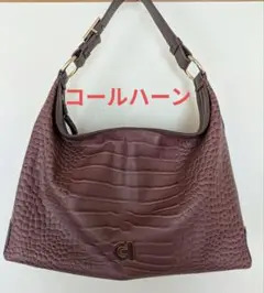 【美品】コールハーンワンショルダー&ハンドバッグ