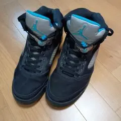 Air Jordan 5　aj5