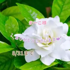 まーこ様 おまとめパーツ(˘͈ᵕ ˘͈ *)♡