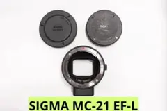 Item thumbnail for item a59724de-8491-4a59-ba5d-5b75f8270a4b