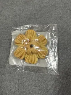 Item thumbnail for item 6f6af357-e9b8-415c-828f-af49a7b64f45