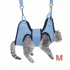 Item thumbnail for item 1f3cd917-8bcb-4a23-b59e-eb1d3f5a0a67
