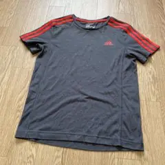 Item thumbnail for item 0e7cf893-41eb-4e7c-8591-628916789390