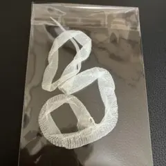 蛇の抜け殻 一本脱ぎ C