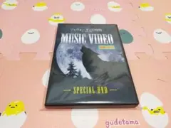 アナ伝 特典DVD