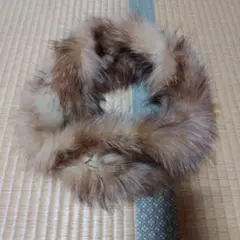 Item thumbnail for item 0677472e-b025-41e6-9d2a-fdbfe794b76c