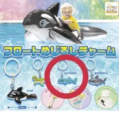 フロートめじるしチャーム　①