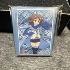 SP 多種多彩 サリー　サイン ヴァイスシュヴァルツ 防振り 001 SP 多種多彩 サリー サイン ヴァイスシュヴァルツ 防振り 001
