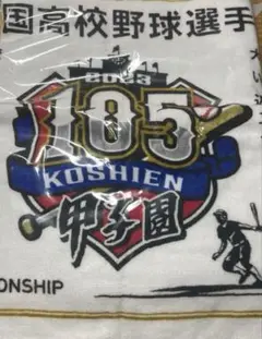 第105回全国高校野球選手権記念大会タオル