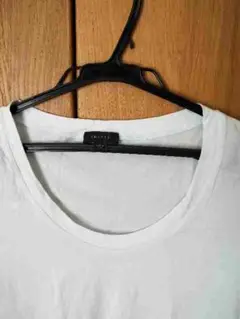 セオリーの淡いブルーのTシャツ