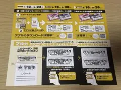 マイメロディ・クロミ・宇佐美　 ぬいぐるみクーポン応募券4枚 台紙付き2冊