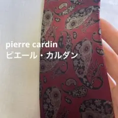 角度で色が変わる　pierre cardin ピエール・カルダン　ネクタイ